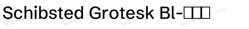 Schibsted Grotesk Bl字体转换